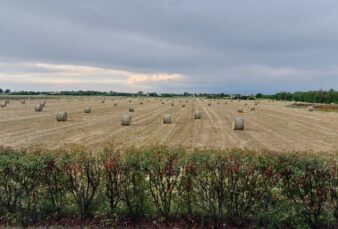 PARMA, CASA INDIPENDENTE