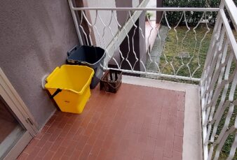 PARMA, VICINANZE OSPEDALE MAGGIORE
